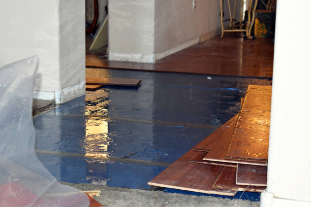 Professional Basement Flood Cleanup technician working in Greenville, NC